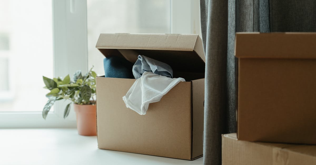 Rozstań się z nadmiarem bez wyrzutów: 7 kroków do lżejszego domu i spokojniejszej głowy