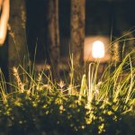 Rozświetl ogród bez prądu: 11 stylowych trików na blask po zmroku