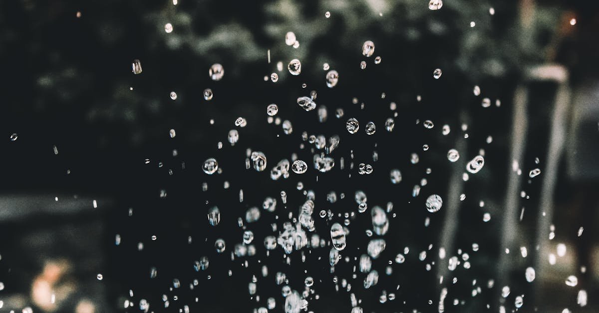 Złap każdą kroplę! Jak zamienić deszcz w darmowe nawadnianie i bujniejszy ogród