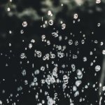 Złap każdą kroplę! Jak zamienić deszcz w darmowe nawadnianie i bujniejszy ogród